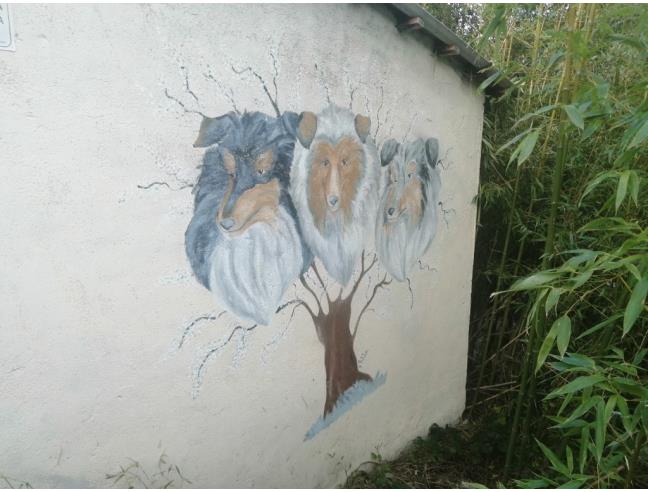 Anteprima foto 2 - Casa indipendente in Vendita a Fabriano - Precicchie-Montefiascone