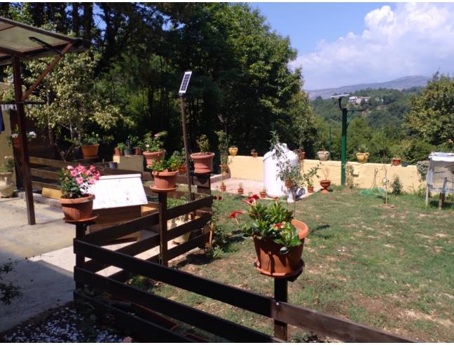 Anteprima foto 8 - Casa indipendente in Vendita a Ferentino (Frosinone)