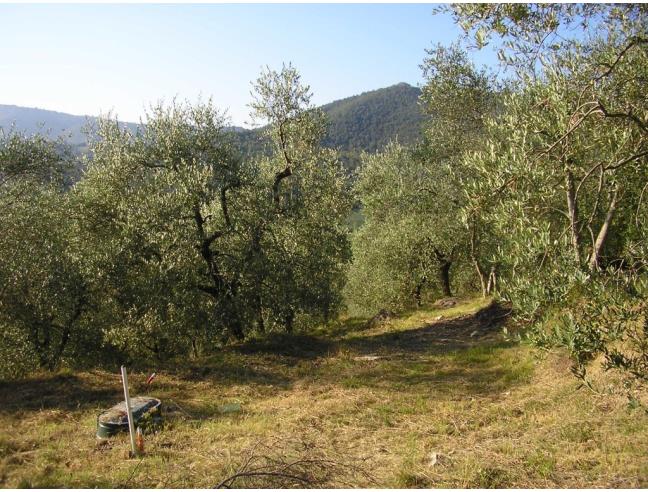 Anteprima foto 6 - Casa indipendente in Vendita a Ficulle (Terni)