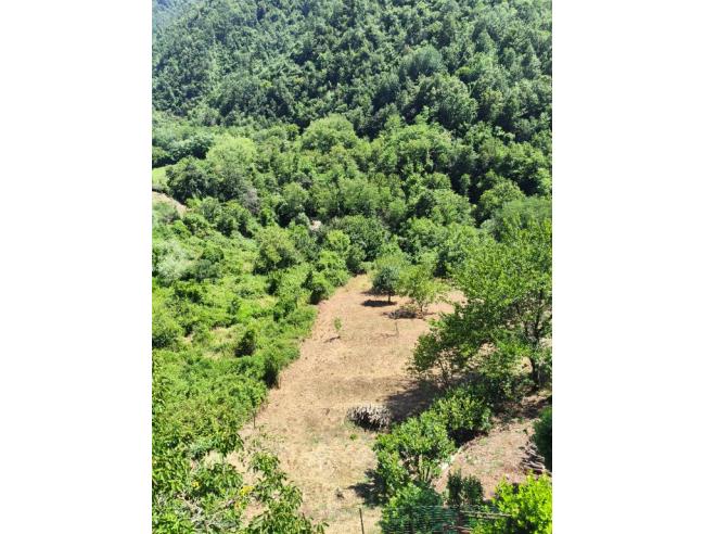 Anteprima foto 6 - Casa indipendente in Vendita a Fivizzano - Bardine Di San Terenzo