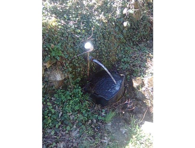 Anteprima foto 5 - Casa indipendente in Vendita a Frabosa Sottana (Cuneo)