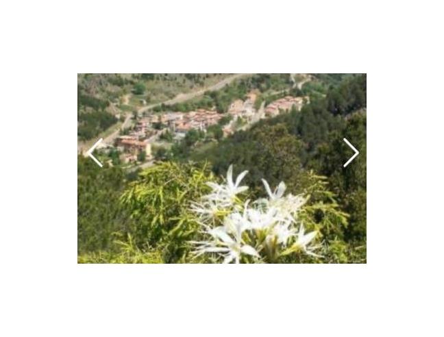 Anteprima foto 2 - Casa indipendente in Vendita a Gairo (Nuoro)