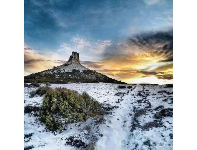 Anteprima foto 3 - Casa indipendente in Vendita a Gairo (Nuoro)