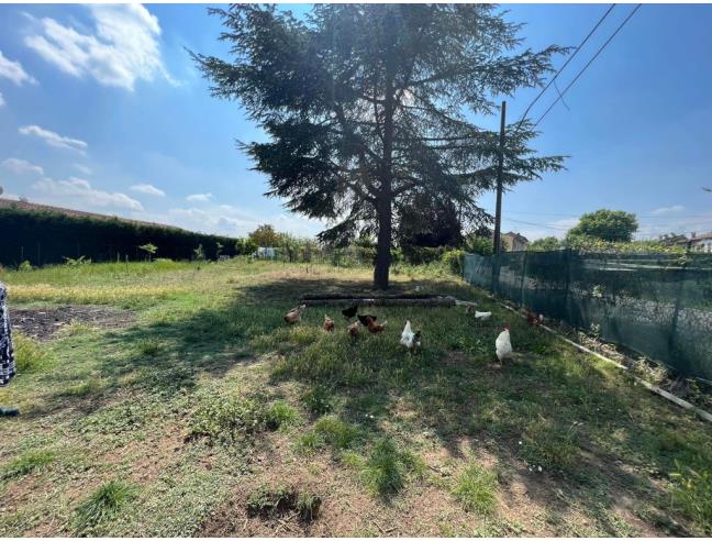 Anteprima foto 4 - Casa indipendente in Vendita a Gamalero (Alessandria)