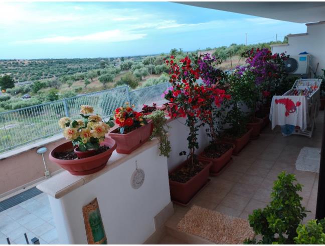 Anteprima foto 1 - Casa indipendente in Vendita a Ginosa (Taranto)