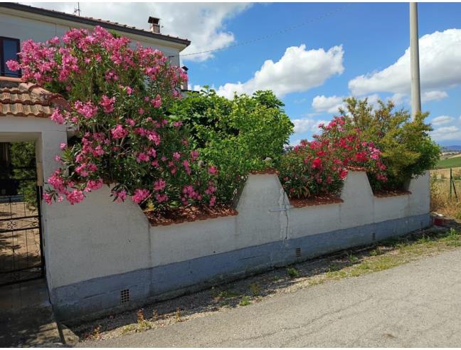 Anteprima foto 3 - Casa indipendente in Vendita a Gissi (Chieti)
