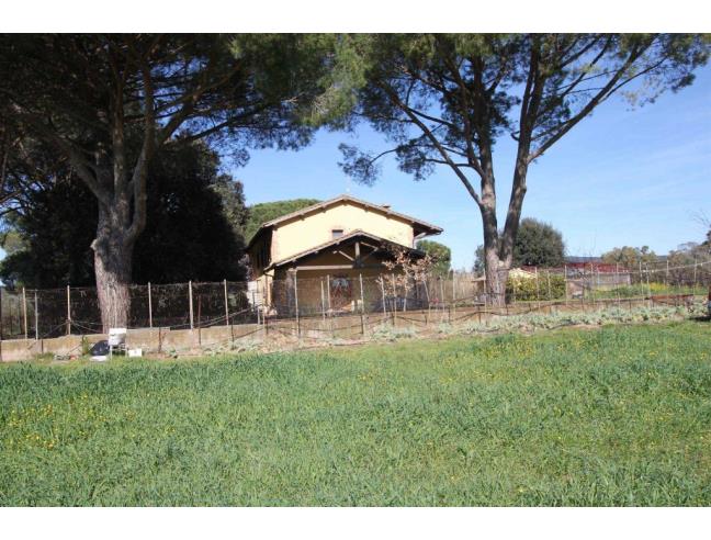 Anteprima foto 2 - Casa indipendente in Vendita a Grosseto (Grosseto)