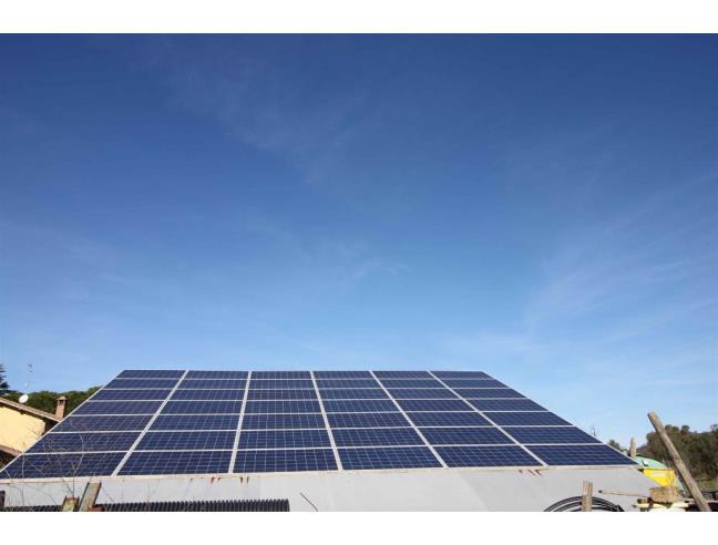 Anteprima foto 7 - Casa indipendente in Vendita a Grosseto (Grosseto)