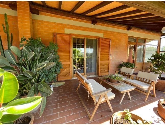Anteprima foto 2 - Casa indipendente in Vendita a Grosseto - Santa Maria Di Rispescia