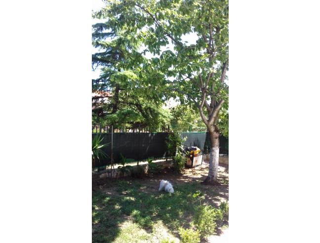 Anteprima foto 5 - Casa indipendente in Vendita a Guglionesi (Campobasso)