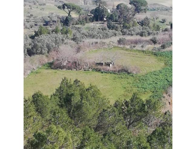 Anteprima foto 5 - Casa indipendente in Vendita a Irsina (Matera)