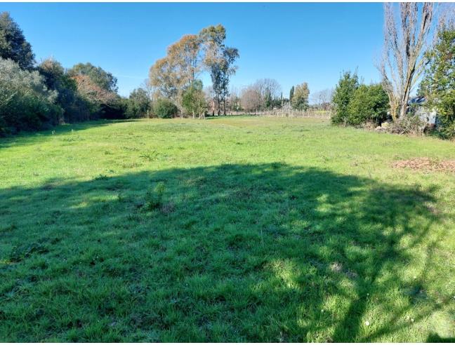 Anteprima foto 6 - Casa indipendente in Vendita a Latina (Latina)