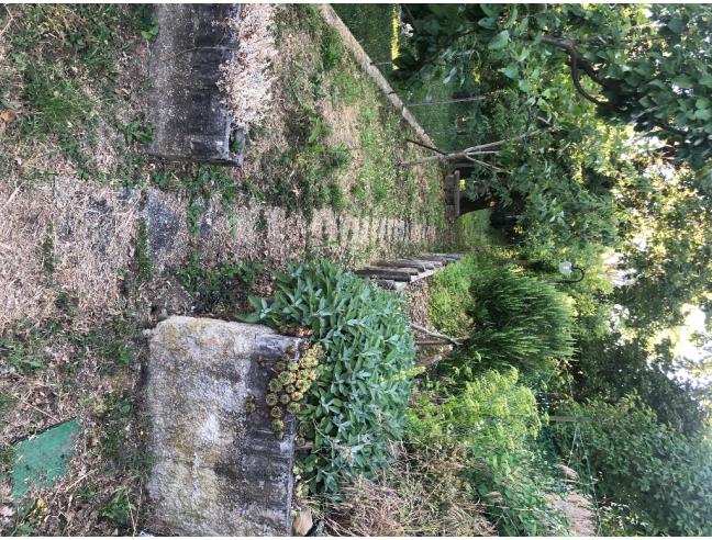 Anteprima foto 5 - Casa indipendente in Vendita a Loiano - Scanello