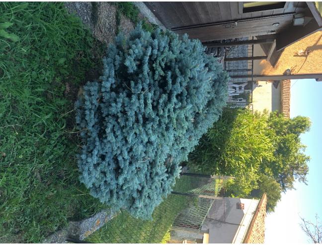 Anteprima foto 7 - Casa indipendente in Vendita a Loiano - Scanello