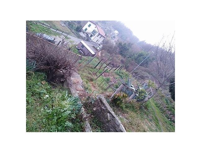 Anteprima foto 5 - Casa indipendente in Vendita a Lumarzo (Genova)