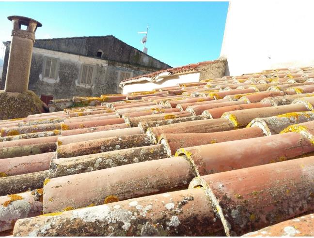 Anteprima foto 7 - Casa indipendente in Vendita a Luras (Sassari)