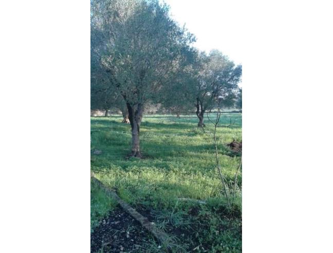 Anteprima foto 5 - Casa indipendente in Vendita a Manduria (Taranto)