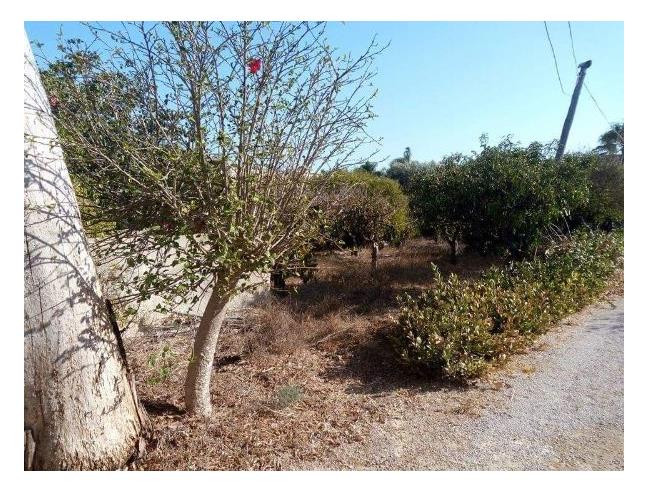 Anteprima foto 2 - Casa indipendente in Vendita a Marsala (Trapani)