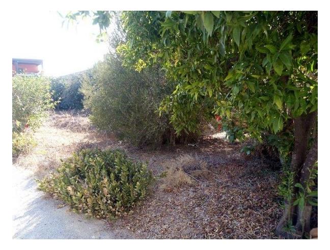 Anteprima foto 3 - Casa indipendente in Vendita a Marsala (Trapani)