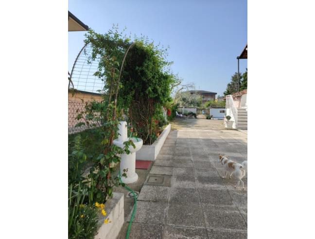 Anteprima foto 5 - Casa indipendente in Vendita a Mede (Pavia)