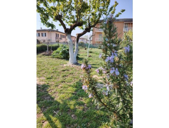 Anteprima foto 8 - Casa indipendente in Vendita a Mede (Pavia)