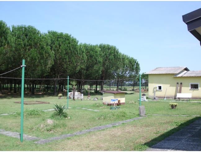 Anteprima foto 3 - Casa indipendente in Vendita a Mesola (Ferrara)