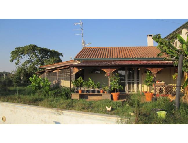 Anteprima foto 2 - Casa indipendente in Vendita a Mesola - Monticelli