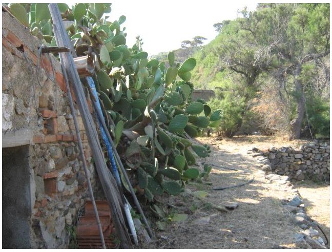 Anteprima foto 5 - Casa indipendente in Vendita a Messina - San Saba