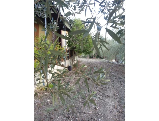 Anteprima foto 7 - Casa indipendente in Vendita a Modica (Ragusa)