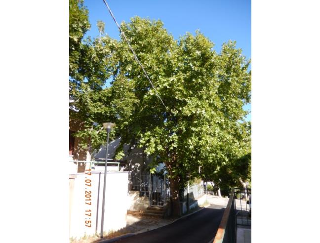 Anteprima foto 2 - Casa indipendente in Vendita a Mombaroccio (Pesaro e Urbino)