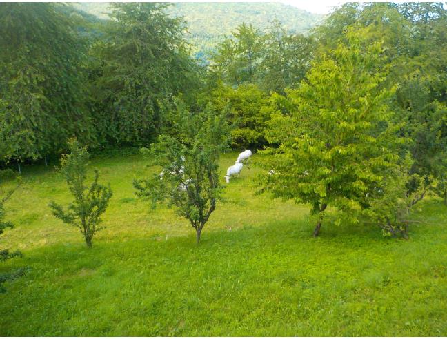 Anteprima foto 5 - Casa indipendente in Vendita a Monasterolo Casotto - Borgata Soprana