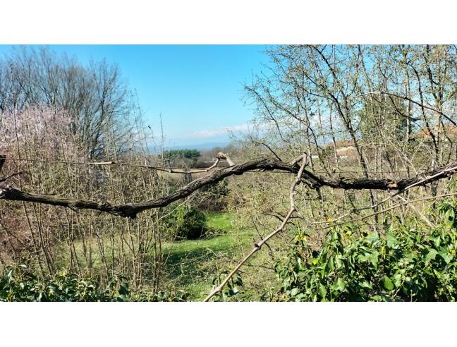 Anteprima foto 6 - Casa indipendente in Vendita a Moncrivello (Vercelli)