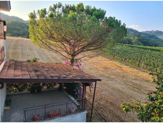 Anteprima foto 2 - Casa indipendente in Vendita a Montalto delle Marche (Ascoli Piceno)