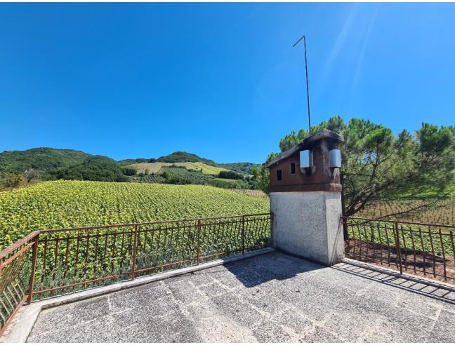 Anteprima foto 3 - Casa indipendente in Vendita a Montalto delle Marche (Ascoli Piceno)