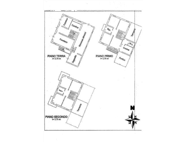 Anteprima foto 8 - Casa indipendente in Vendita a Montalto delle Marche (Ascoli Piceno)