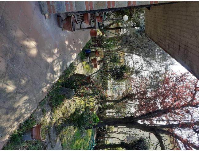 Anteprima foto 5 - Casa indipendente in Vendita a Monte San Savino - Alberoro