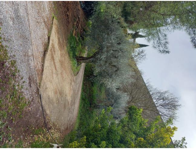 Anteprima foto 4 - Casa indipendente in Vendita a Monte San Savino (Arezzo)