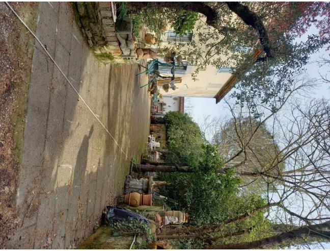 Anteprima foto 5 - Casa indipendente in Vendita a Monte San Savino (Arezzo)