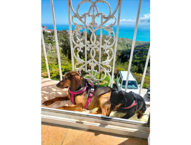 Anteprima foto 7 - Casa indipendente in Vendita a Monte Sant'Angelo (Foggia)