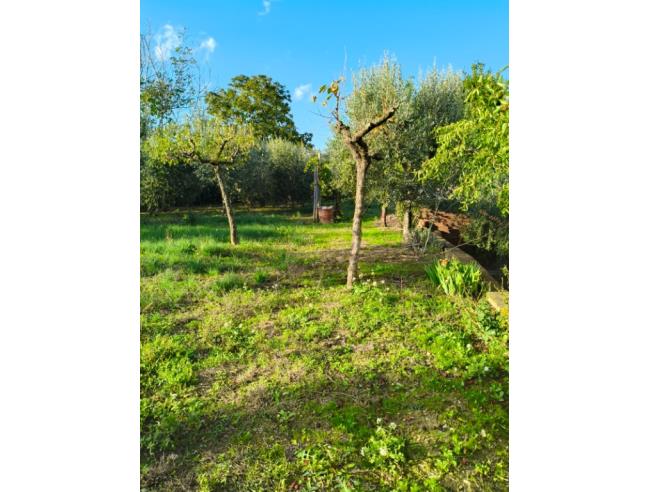 Anteprima foto 4 - Casa indipendente in Vendita a Montefalco - Vallo