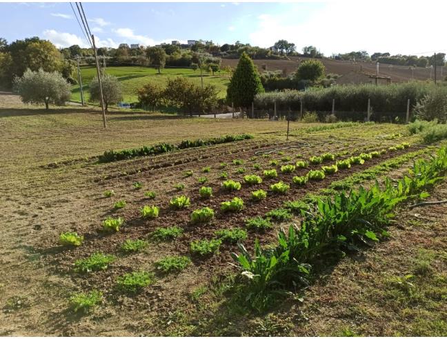 Anteprima foto 2 - Casa indipendente in Vendita a Montegranaro (Fermo)