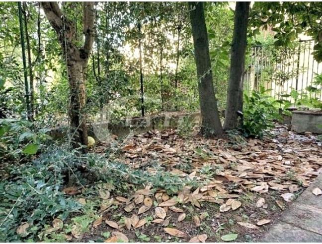 Anteprima foto 7 - Casa indipendente in Vendita a Montelupo Fiorentino (Firenze)