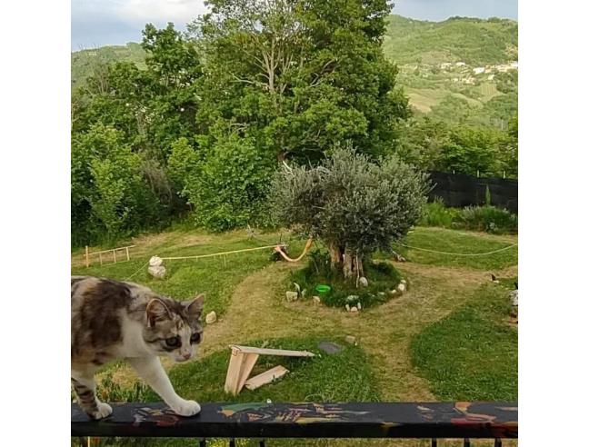 Anteprima foto 1 - Casa indipendente in Vendita a Montemarano (Avellino)