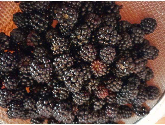 Anteprima foto 5 - Casa indipendente in Vendita a Montemarano (Avellino)