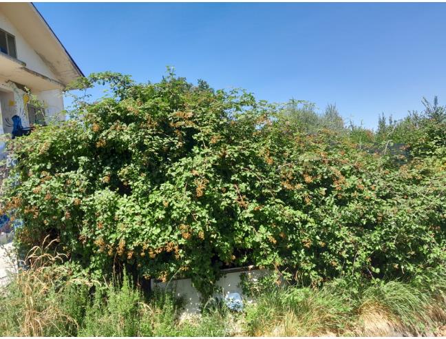 Anteprima foto 6 - Casa indipendente in Vendita a Montemarano (Avellino)