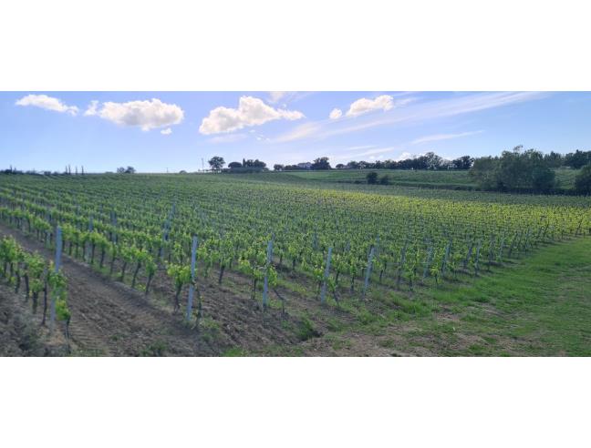 Anteprima foto 3 - Casa indipendente in Vendita a Montepulciano - Abbadia Di Montepulciano