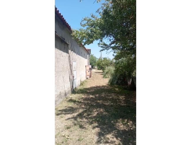 Anteprima foto 6 - Casa indipendente in Vendita a Montesano sulla Marcellana - Tardiano