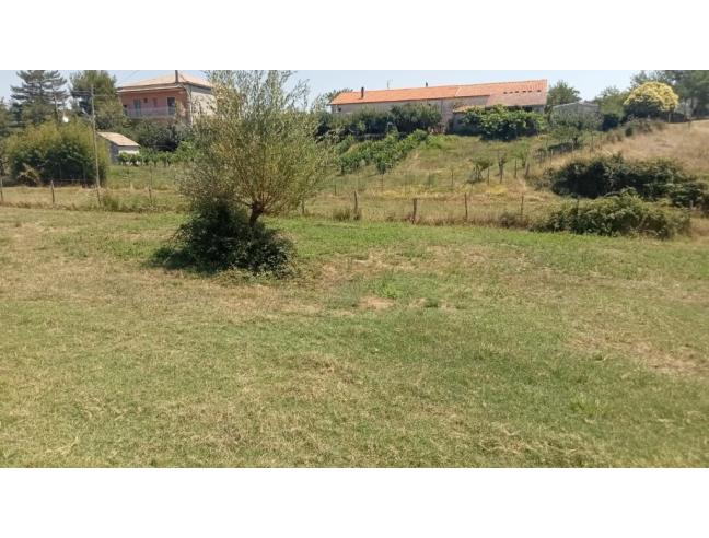 Anteprima foto 7 - Casa indipendente in Vendita a Montesano sulla Marcellana - Tardiano