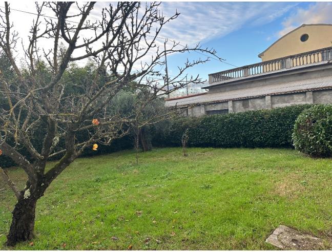 Anteprima foto 6 - Casa indipendente in Vendita a Montevarchi (Arezzo)