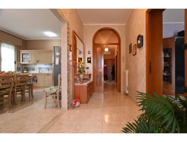 Anteprima foto 5 - Casa indipendente in Vendita a Morro d'Oro (Teramo)
